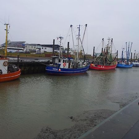 Nordsee Und Natur. Gemuetliche Fewo Mit Deichblick Dorumer Neufeld Exterior photo